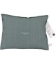 Little Cushion